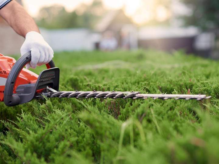 Entretien haies Caen