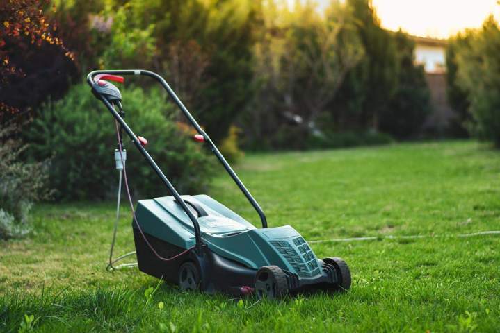Haies structurées et saines
