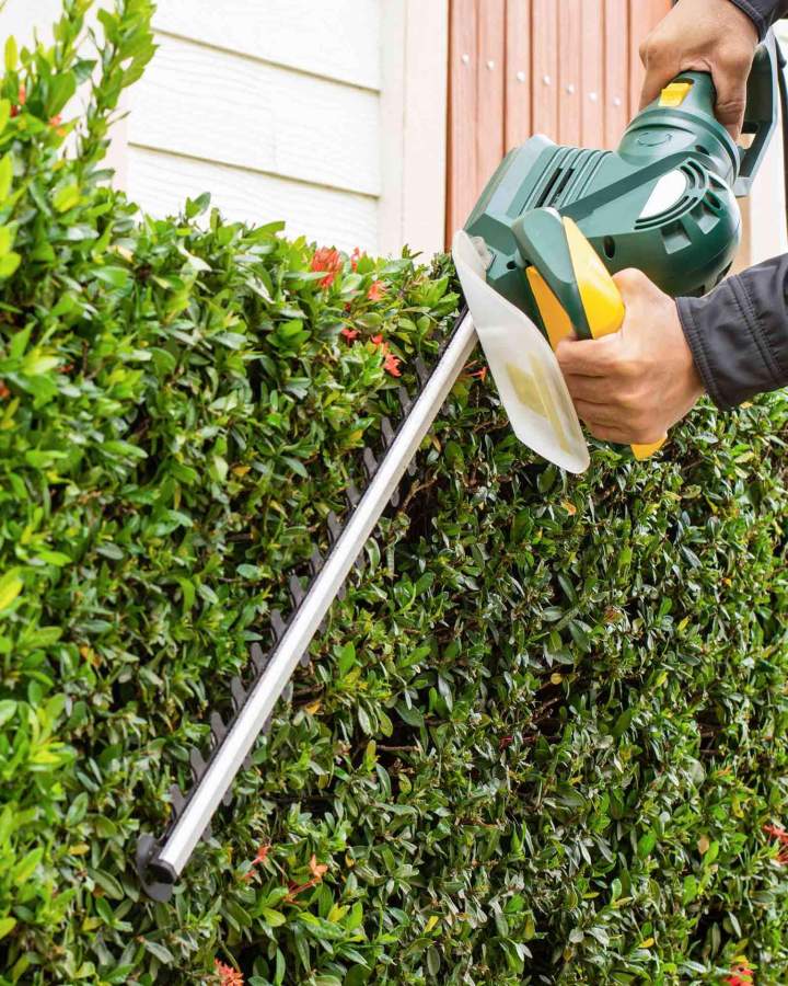 Taille de haies Caen