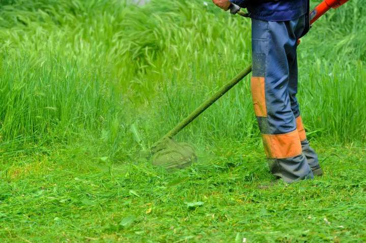 Eliminer les ronces et les herbes hautes